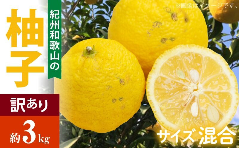 
AB6014n_（国産）紀州和歌山の ご家庭用 訳あり 柚子 (ゆず) 約3kg
