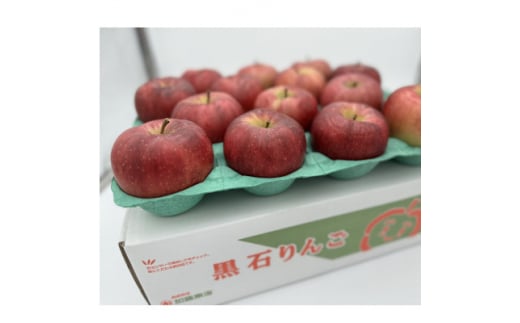 希少品種　大紅栄　訳あり品　5kg(10～16個入)【1493957】