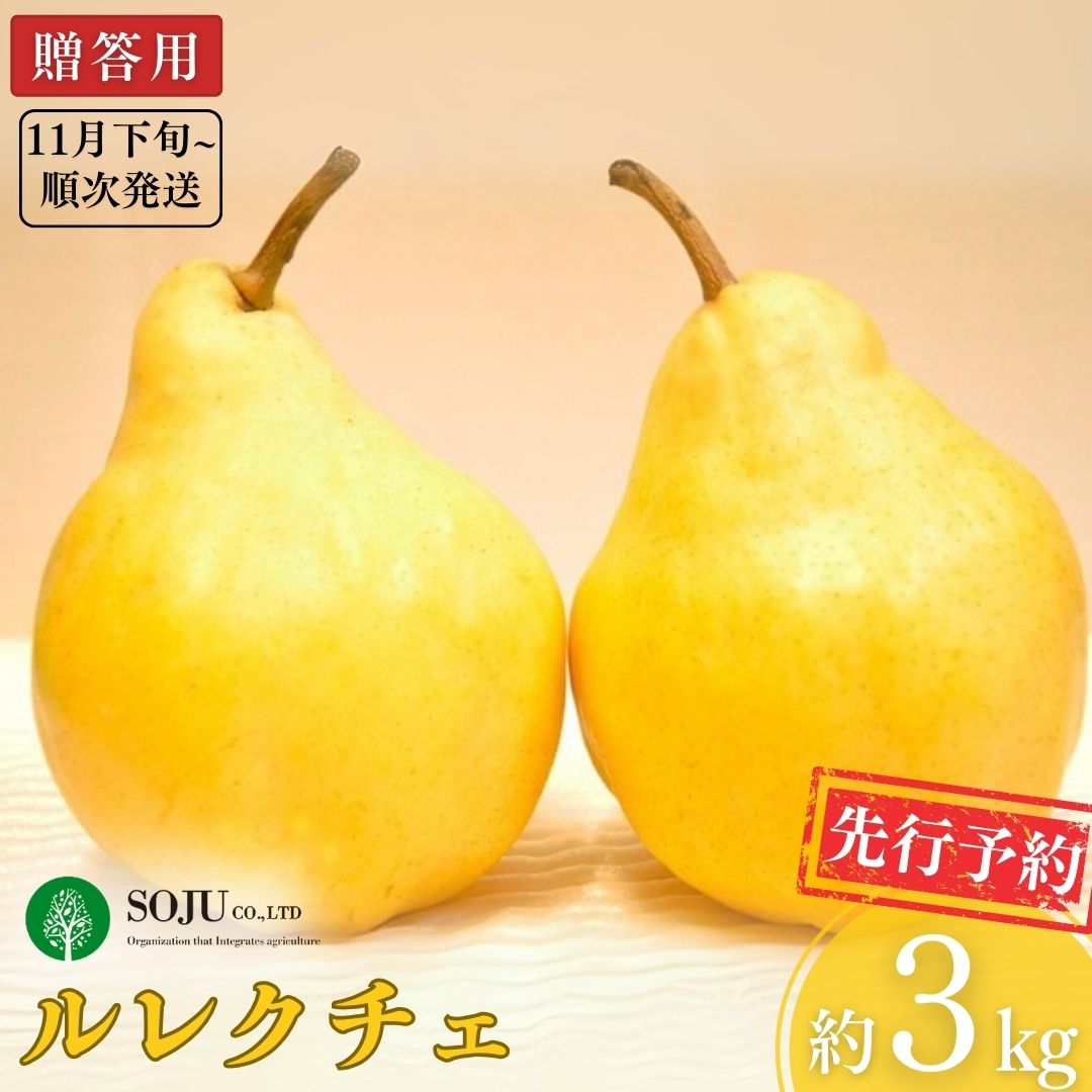 【ふるさと納税】先行予約 ル レクチェ 約3kg [11月下旬から発送予定] 洋梨 JGAP認証農場 新潟県 三条市産 ル レクチエ 期間限定 冬限定 幻の西洋梨 フルーツ 秋 旬 洋梨 ル・レクチェ [三条果樹専門家集団]【016P026】