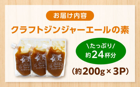 クラフトジンジャエールの素 約200ｇ×3パック / ジンジャーエール 素 シロップ ジンジャーシロップ 炭酸 炭酸割り ソーダ お湯割り ホットジンジャー アレンジ【Japan Ginger 株式会