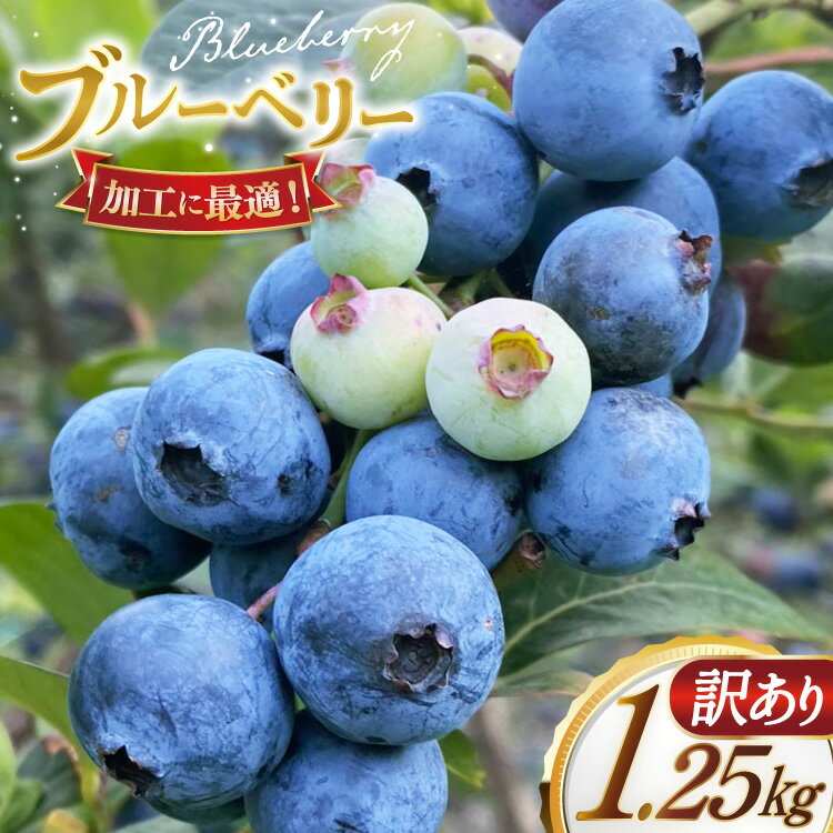 【ふるさと納税】ブルーベリー 訳あり 冷凍 250g 5パック 計 1.25kg [いきつきブルーベリー園 moon berry's kitchen 長崎県 平戸市 hr42bhb500001] 完熟 デザート スイーツ スムージー 小分け 訳アリ