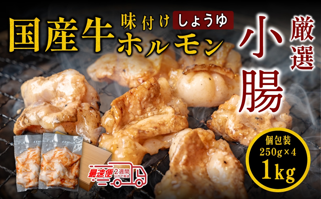 
            【12/22迄年内発送・選べる配送月】小腸 牛 ホルモン セット 特製自家製しょうゆダレ漬け 250gx4袋 1kg ホルモン しょうちょう 焼肉用 肉 ダレ付き 小分け モツ
          