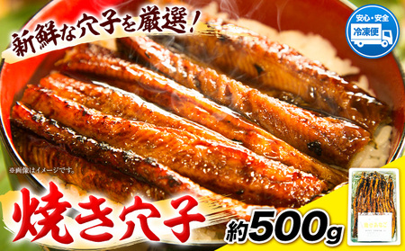 焼き穴子 約500g 笠岡魚市場《45日以内に出荷予定(土日祝除く)》岡山県 笠岡市 穴子 海鮮 魚 お魚｜穴子アナゴ