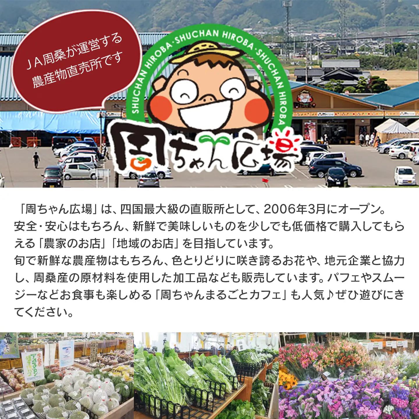 【12月発送】愛媛県西条産「横野柿」渋抜き柿 特撰4Lサイズ×9玉