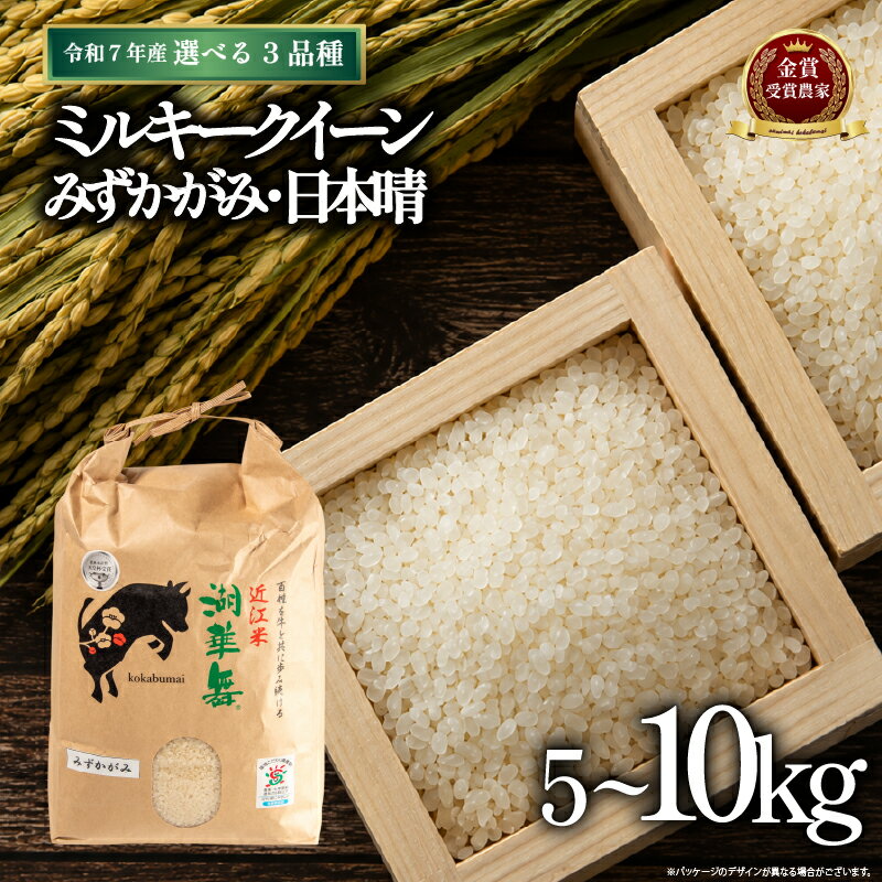 【ふるさと納税】 令和7年産米 5kg 10kg 選べる 【 容量 品種 お届け回数 】 ミルキークイーン 日本晴 みずかがみ 単品 定期便 米 白米 精米 白飯 ご飯 ゴハン 2025年産 米 農林水産大臣 賞 受賞 おいしい 贈り物 ギフト 近江 滋賀県 竜王町 古株牧場