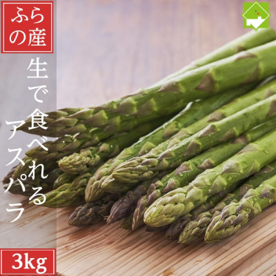 
            2026年先行予約　生で食べられる北海道富良野産 アスパラ3kg (S～Lサイズ混合)【1561886】
          