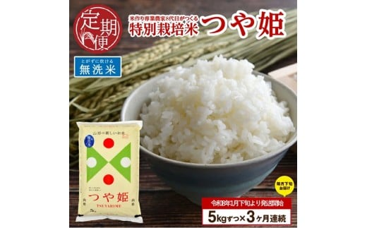 1月下旬発送開始／【3回定期便】令和7年産 無洗米 特別栽培米 つや姫　5kg×3回(計15㎏)「農家直送」 KA SF0309