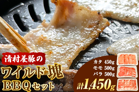 ワイルド塊BBQセット 計1450g 清村養豚 《30日以内に出荷予定(土日祝除く)》  熊本県 御船町 豚 肉 冷凍 小分け カタ モモ バラ
