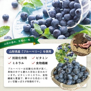 冷凍ブルーベリー1.0kg(500g×2袋) 山形県産 冷凍便 ※離島発送不可 冷凍 冷凍フルーツ ブルーベリー フルーツ ジャム ジュース スムージー 小分け お菓子作り ゆざ食彩工房 遊佐町 庄内