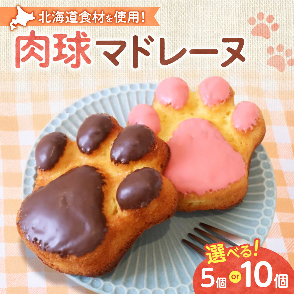 【ふるさと納税】 マドレーヌ 【 選べる 数量 】 5個 10個 ショコラ ピンク 北海道産 バター 生クリーム 卵 スイートチョコ ホワイトチョコ 焼き菓子 菓子 洋菓子 スイーツ 肉球 しっとり ふわふわ 個包装 贈答 ギフト プレゼント 冷蔵 クール 北海道 札幌市