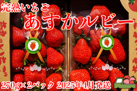 いちご好きのためのいちご 奈良県ブランドいちご 「あすかルビー」2025年4月発送 / いちごいちごいちごいちごいちごいちごいちごいちごいちごいちごいちごいちごいちごいちごいちごいちごいちごいちごいちごいちごいちごいちごいちごいちごいちごいちごいちごいちごいちごいちごいちごいちごいちごいちごいちごいちごいちごいちごいちごいちごいちごいちごいちごいちごいちごいちごいちごいちごいちごいちごいちごいちごいちごいちごいちごいちごいちごいちごいちごいちごいちごいちごいちごいちごいちごいちごいちごいちごいちごいちごいち