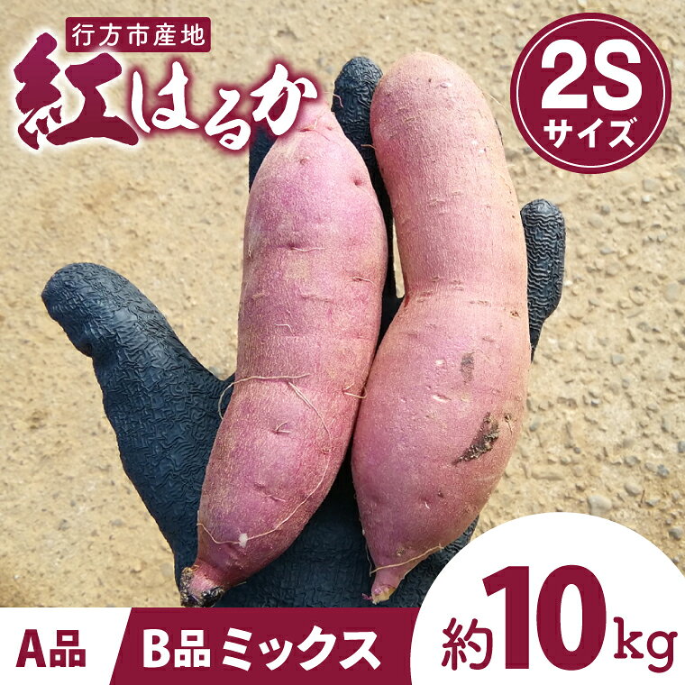 【ふるさと納税】【先行予約 2027年1月上旬より発送】茨城県行方市特産紅はるか 2Sサイズ(A品・B品ミックス) 約10kg｜さつまいも サツマイモ お芋 紅はるか 特産品 茨城県 行方市(FU-5)