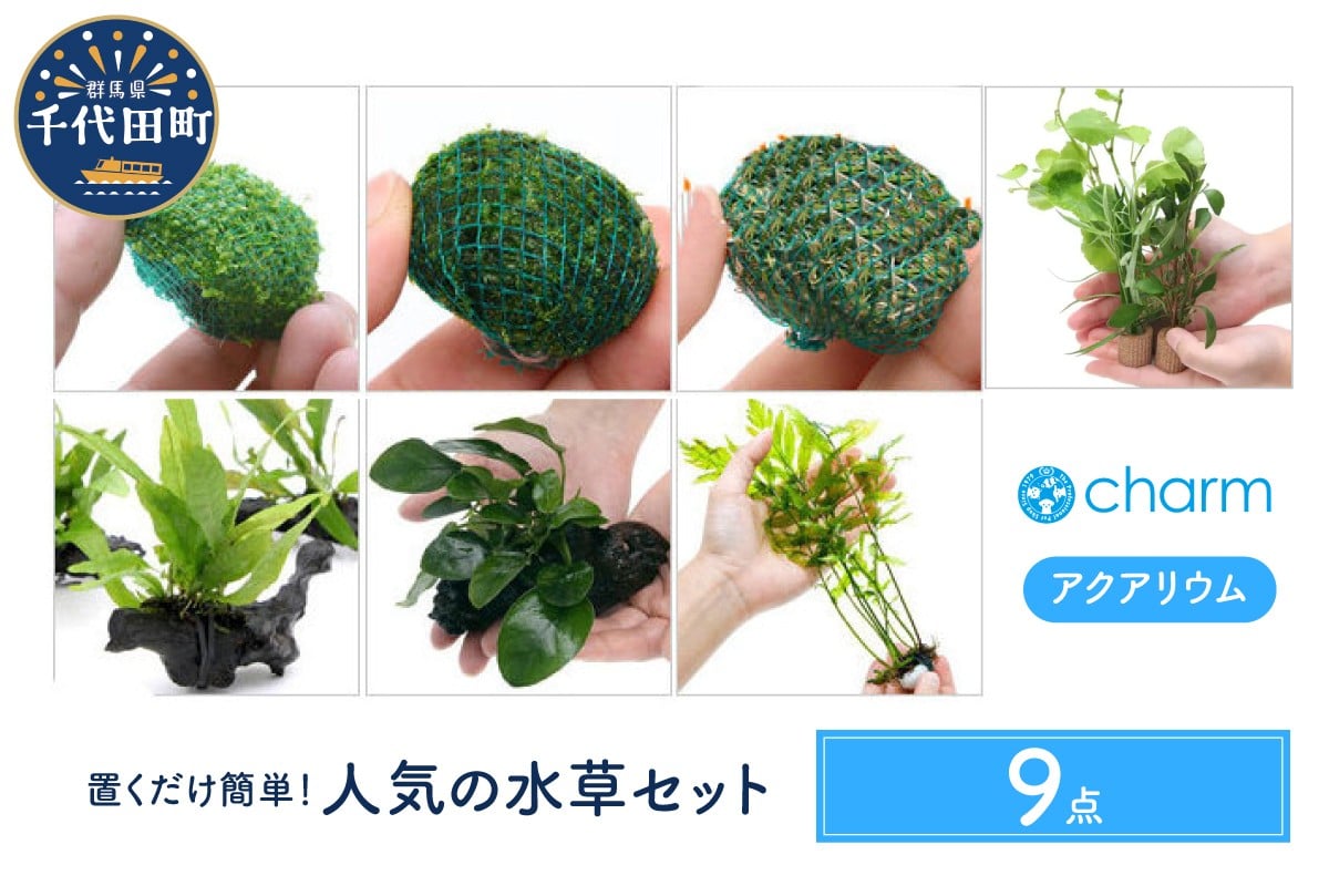 
            水草 置くだけ簡単 人気の水草 ９点セット 水上葉  群馬県 千代田町 インテリア ナチュラル 自然 リラクゼーション 室内栽培 プレゼント 送料無料 趣味 緑 人気 オススメ 初心者 玄関 リビング 水槽 アクアリウム 株式会社チャーム
          