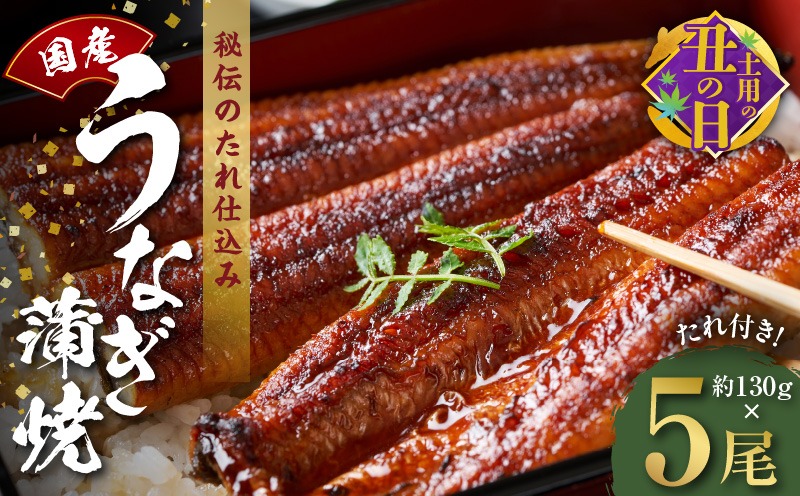 099H2649c 【7/19土用の丑の日】国産うなぎ 約130g×5尾  秘伝のたれ 蒲焼 鰻 ウナギ 無頭 炭火焼き 備長炭 手焼き 先行予約