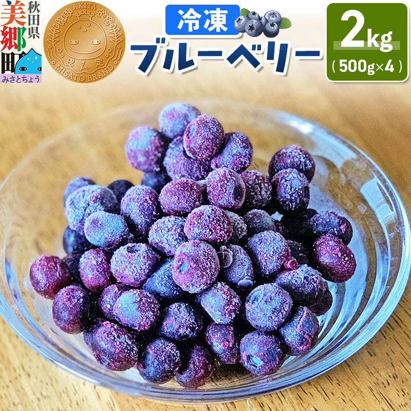 【ふるさと納税】くろかわ農園 冷凍ブルーベリー 2kg（500g×4パック） 秋田県美郷町