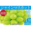 【ふるさと納税】ぶどう 2025年 先行予約 シャイン マスカット 晴王 1房 約600g ブドウ 葡萄 岡山県産 国産 フルーツ 果物 ギフト