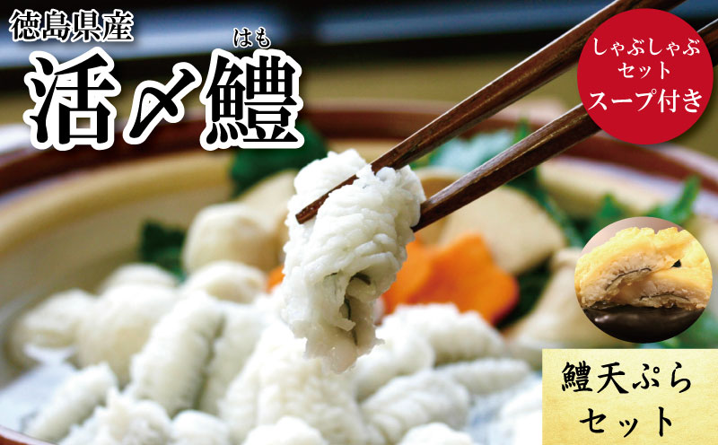 鱧 ハモ しゃぶしゃぶ 天ぷら セット 新鮮 産地 直送 高級 料亭 活け 冷凍 国産 魚介 海鮮 おかず 料理 電子レンジ 調理