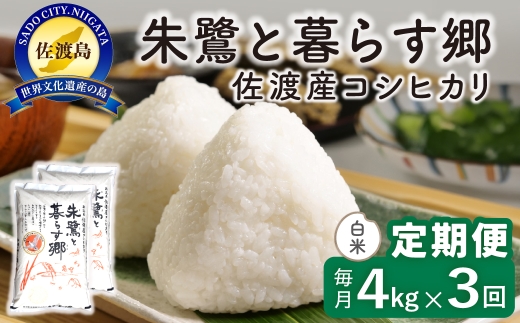 【定期便 令和8年産新米 3か月】 佐渡島産コシヒカリ 白米 4Kg(2kg×2袋） 令和8年産新米 特別栽培米 | 新潟県産コシヒカリ 新潟産コシヒカリ 佐渡産コシヒカリ 新潟県産こしひかり 佐渡産こしひかり お米 米 こしひかり 白米 精米 おこめ コメ 4キロ にいがた さど 新潟県 佐渡市