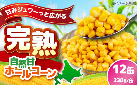 自然甘 ホールコーン 12缶【きもべつ観光協会】 缶詰 瓶詰 加工品 とうもろこし 北海道 常温配送 [AJAG019]