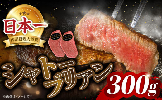 ヒレ ステーキ 【日本一に輝いた和牛】シャトーブリアン 長崎和牛 計300g （2枚） ヒレ ひれ ステーキ ＜株式会社 黒牛＞ [CBA014] 和牛 国産 しゃとーぶりあん ヒレ ひれ 焼肉 ステーキ 和牛 国産 焼肉 ステーキ シャトーブリアン ヒレ ひれ 希少部位 しゃとーぶりあん 肉 和牛 シャトーブリアン 牛肉 長崎和牛 焼肉 BBQ バーベキュー hire シャトーブリアン 和牛