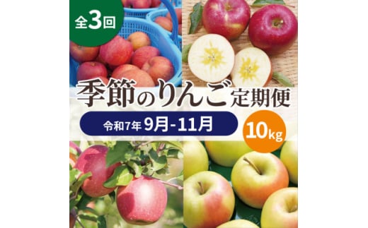 ＜発送月固定定期便＞＜25年9月～11月＞青森りんご 訳あり 品種おまかせ 10kg全3回【4066847】