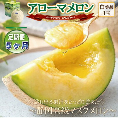 【ふるさと納税】【毎月定期便】アローマメロン1玉(約1.0kg以上/玉)【静岡高級マスクメロン】　全5回【配送不可地域：離島・北海道・沖縄県】【4071904】