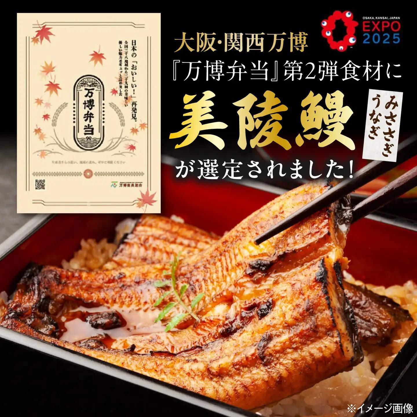 【全6回】鰻 鰻の蒲焼 2尾 BLAM008
