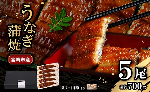 宮崎県宮崎市産　うなぎの蒲焼　約700g（約140g×5尾）タレ・山椒セット 国産 うなぎ 蒲焼き 5尾 鰻 ウナギ 蒲焼 うなぎ蒲焼 うなぎ蒲焼き タレ 山椒 冷凍 パック 電子レンジ レンジ ひつまぶし 鰻巻き 惣菜 お惣菜 おかず 化粧箱 化粧箱入り ギフト グルメ お取り寄せ_M325-004