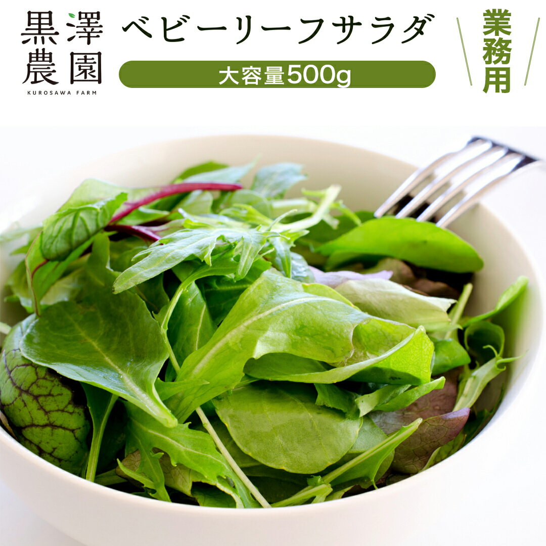 【ふるさと納税】【12/23入金確認分まで年内配送】【 業務用 】 黒澤農園 の ベビーリーフサラダ 500g 大容量タイプ 業者向け ベビーリーフ サラダ 生野菜 食べやすい 若葉 ファミリー 旬 新鮮 国産 彩り パーティー 大量 お得パック