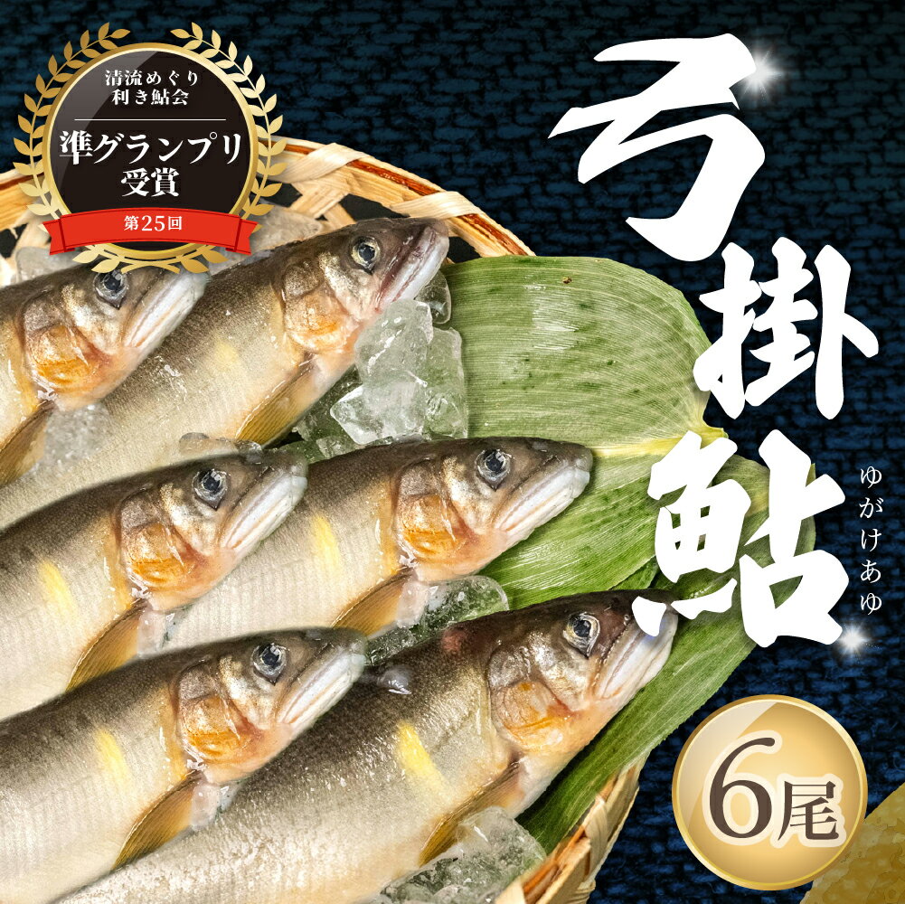 【ふるさと納税】（2026年8月上旬頃から発送）【期間限定】幻の弓掛鮎 6尾セット（総重量 300g以上）【冷凍パック】鮎 あゆ アユ ゆがけ 下呂市 金山 クラブハウス馬瀬川