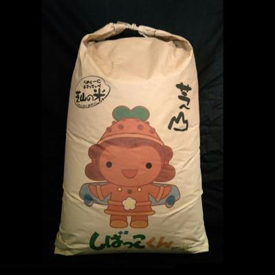 ふるさと納税 芝山町 令和7年産　千葉県芝山町産　コシヒカリ　玄米30kg　色選処理済