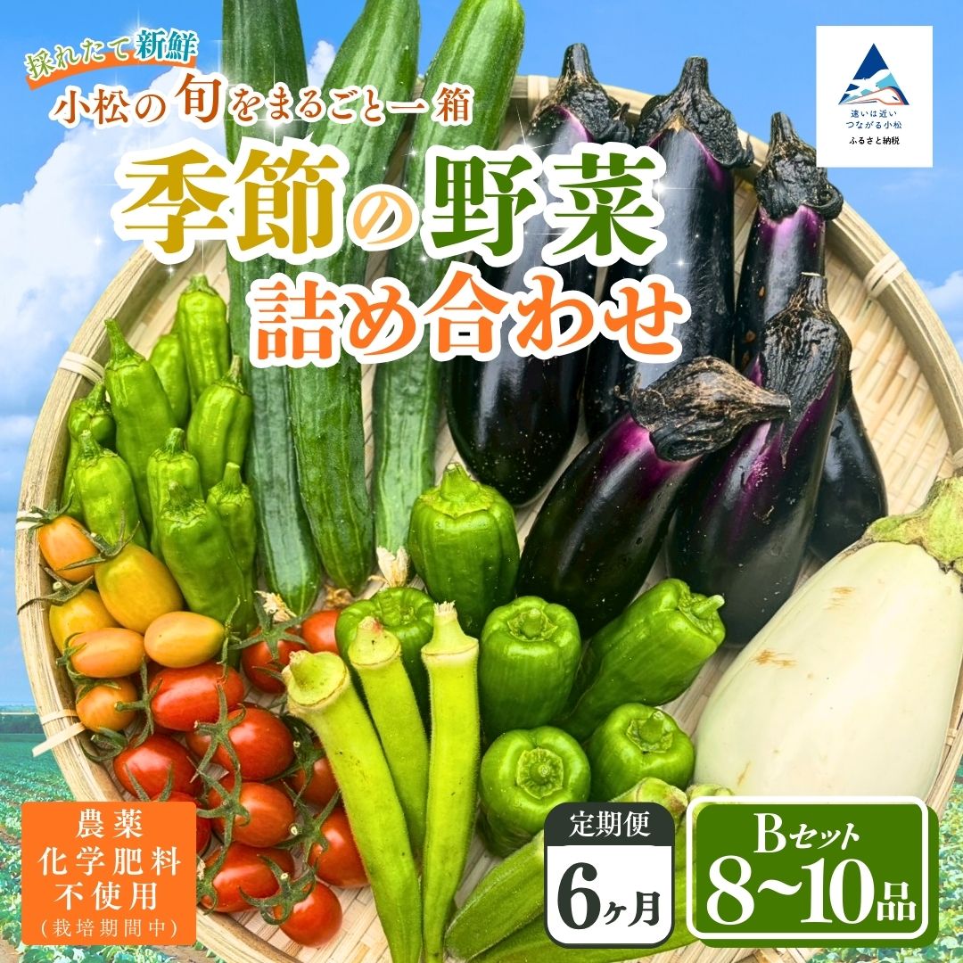 【ふるさと納税】【定期便6ヶ月】季節の野菜詰め合わせ Bセット 野菜食べ比べ 旬の野菜 野菜セット 定期便 | 石川県 小松市 cw002t06【Kacchan.Farm】