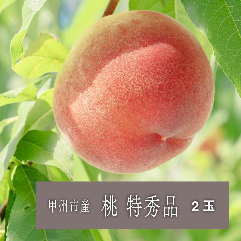 【ふるさと納税】 桃 特秀品 2026年 先行予約 2玉 6月 7月 8月 発送 厳選 フルーツ 果物 もも 果実 産地直送 期間限定 数量限定 ギフト 贈答 家庭用 山梨県 甲州市 （SHP） 【B-456】