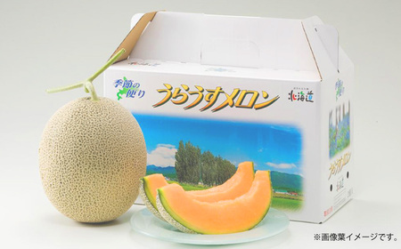 レッドメロン 大玉 4玉 （1玉 約2kg） 【2026年7月上旬～2026年7月下旬発送予定】 果物 フルーツ メロン めろん 赤肉 赤肉メロン 贈答 北海道 浦臼町