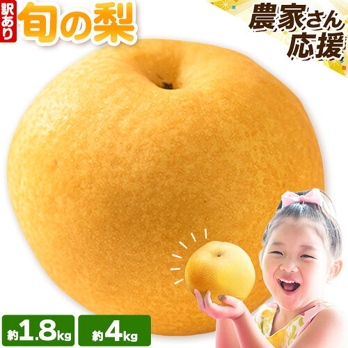 【ふるさと納税】 梨 訳あり 旬の梨 約1.8kg 2~5玉前後 約4kg 3〜10玉前後《9月上旬-1月末頃に出荷予定》ふるさと納税 梨 ふるさと納税 梨 2026 ふるさと納税 梨 訳あり ふるさと納税 梨 おすすめ あたご梨 愛宕梨 あたご梨 ヤーリー 王秋梨 新高梨 岡山 フルーツ 果物 秋梨