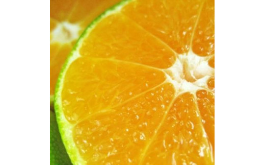 
                  【和歌山県産】ゆら早生みかん　秀品　約5kg　2023年10月中旬より発送
                