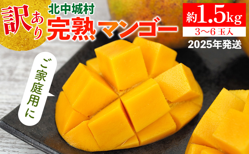【2026年発送】訳あり 完熟マンゴー 約1.5kg 沖縄県産 先行予約 訳あり 訳アリ フルーツ 果物 くだもの アップルマンゴー アーウィン種 冷蔵 JA 家庭用 お試し 美味しい 沖縄 生産者応援 フードロス 人気 おすすめ お取り寄せ