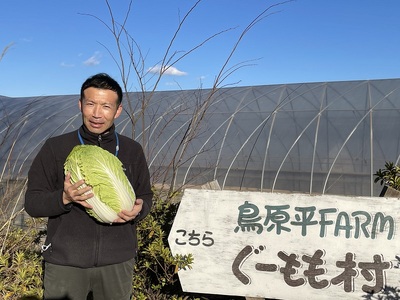 【2024年先行予約】無農薬大玉白菜　1個　山梨県北杜市白州産