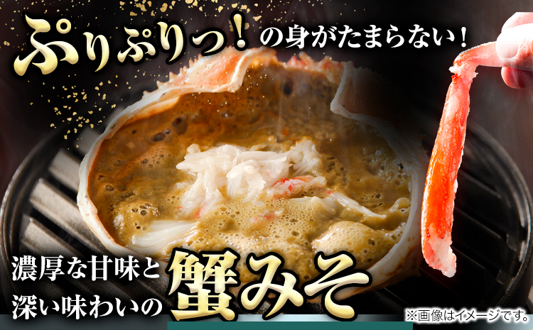 カニ 松葉ガニ タグ付き 贈答用 中サイズ(600g〜700g)2枚《2024年11月中旬-2025年3月中旬出荷予定》鳥取県 八頭町 送料無料 蟹 かに 海鮮 松葉ガニ 贈答 タグ付 冷蔵 鍋 しゃ