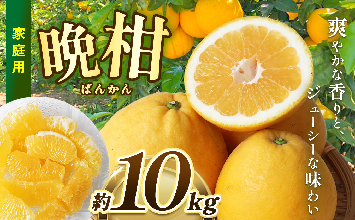 
            熊本県産 家庭用 晩柑 約10㎏ ｜ 果物 くだもの フルーツ 柑橘 柑橘類 みかん ミカン 晩柑 和製グレープフルーツ 熊本県 玉名市
          