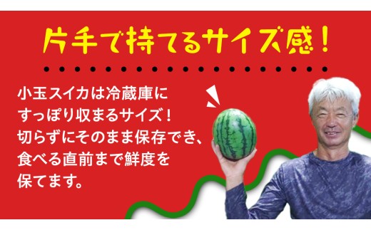 小玉 スイカ スウィートキッズ 4玉 2026年 先行予約 小玉スイカ すいか 西瓜 こだますいか フルーツ 果物 くだもの 農家直送 旬 甘い ギフト 人気 産直 [CQ008sa] 4玉（約4kg