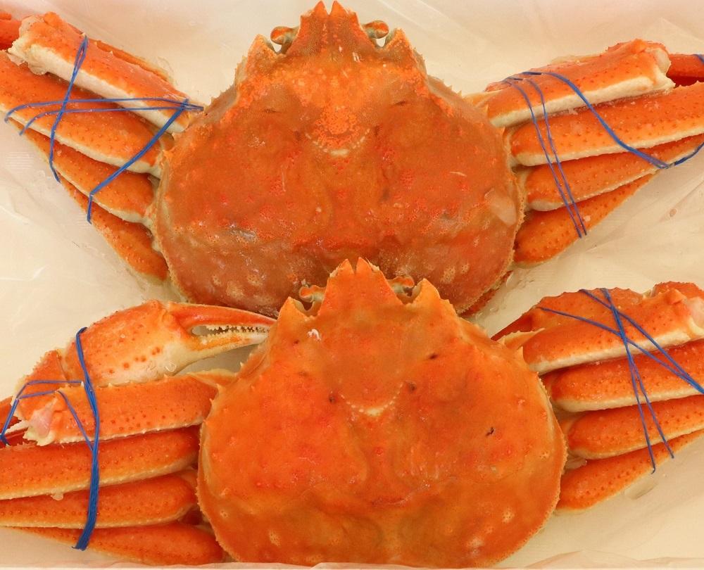 【年内発送】「訳あり」オオズワイガニボイル　4尾　合計約1.8kg