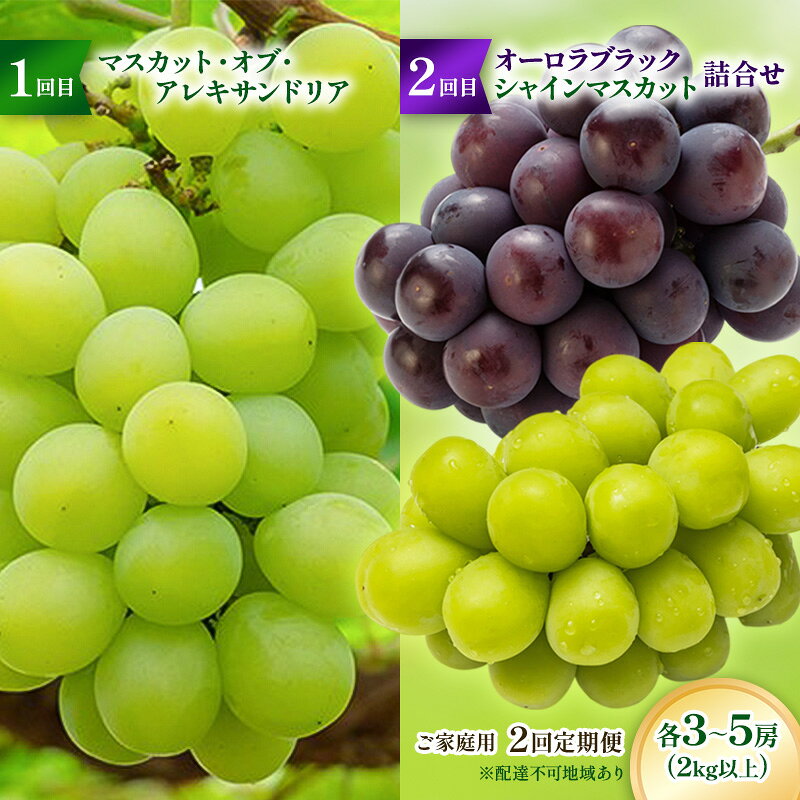 【ふるさと納税】【2026年先行予約】ご家庭用「 マスカット ・オブ・ アレキサンドリア 」＆「 オーロラブラック ・ シャインマスカット の詰合せ」2回定期便 各3～5房(2kg以上) フルーツ 果物 数量限定 里庄町 リアムfarm　お届け：2026年7月上旬～2026年8月下旬