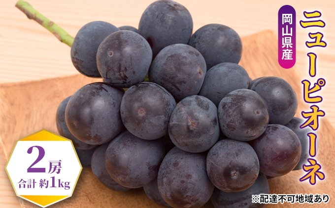 ぶどう 2026年 先行予約 ニュー ピオーネ 2房（合計約1kg） ブドウ 葡萄  岡山県産 国産 フルーツ 果物 ギフト 果物類 