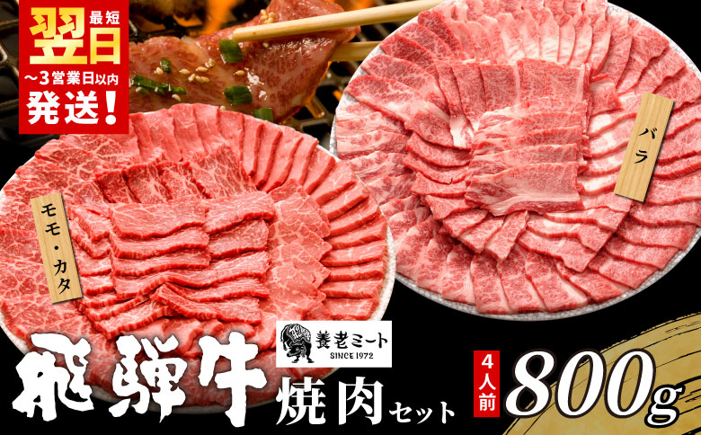 ＜12/21入金分まで年内発送＞ 贅沢！ 飛騨牛 焼肉セット 計800g 4人前 牛肉 和牛 肉 焼肉 BBQ 霜降り カルビ 赤身 モモ カタ 東白川村 岐阜 養老ミート