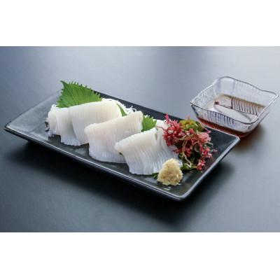 ふるさと納税 北斗市 函館産いかソーメン 5枚入