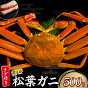 【ふるさと納税】【魚倉】タグ 付き ボイル 松葉ガニ（ 500g 以上） ズワイガニ 松葉蟹 カニ かに かにしゃぶ 【11月から3月発送予定】