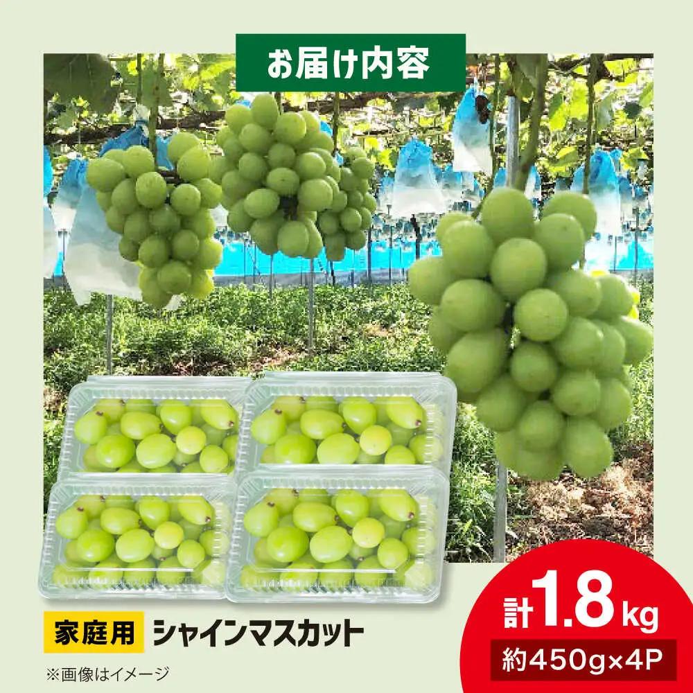 シャインマスカット 計1.8kg [APCR001] シャインマスカット