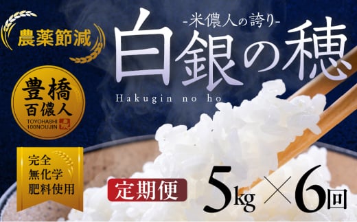 【定期便】米儂人の誇り 白銀の穂 5kg×6回 お米 おこめ 米 コメ kome 令和7年