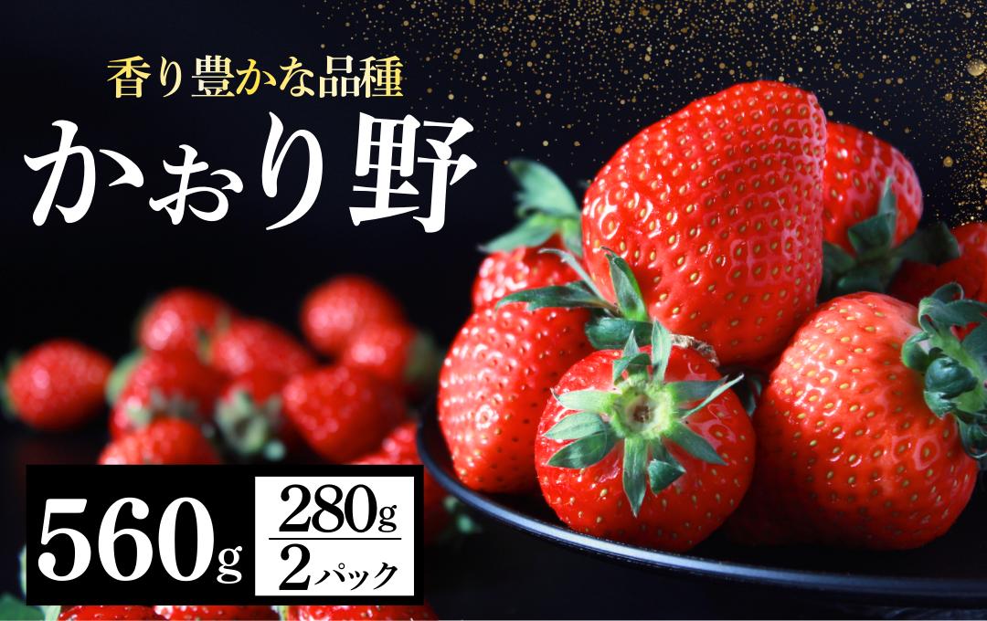 
                  【先行予約 2027年出荷】いちご かおり野 DXパック 2パック こだわり いちご イチゴ strawberry 苺 新鮮 朝摘み 朝採り 産直 産地直送 安心安全 ichigo itigo いちご 苺 果物 フルーツ くだもの ギフト プレゼント 贈物 贈答 ケーキ ふるさと納税 ふるさと納税苺 いちご 静岡県 南伊豆町 みなみのいちご園　<AA-20>
                